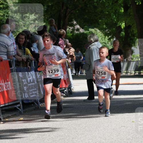 17.05.2025 - Störlauf Strokosch-Dieckow http://msf.ph/oto/7850900 17.05.2025 14:50:27 Ziel 1239, 1258, 25524, 1492 meine-sportfotos.de