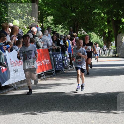 17.05.2025 - Störlauf Strokosch-Dieckow http://msf.ph/oto/7850902 17.05.2025 14:50:29 Ziel 1239, 1258, 492 meine-sportfotos.de