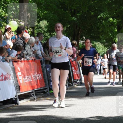 17.05.2025 - Störlauf Strokosch-Dieckow http://msf.ph/oto/7850975 17.05.2025 14:51:28 Ziel 1447, 1057, 1661, 1648 meine-sportfotos.de