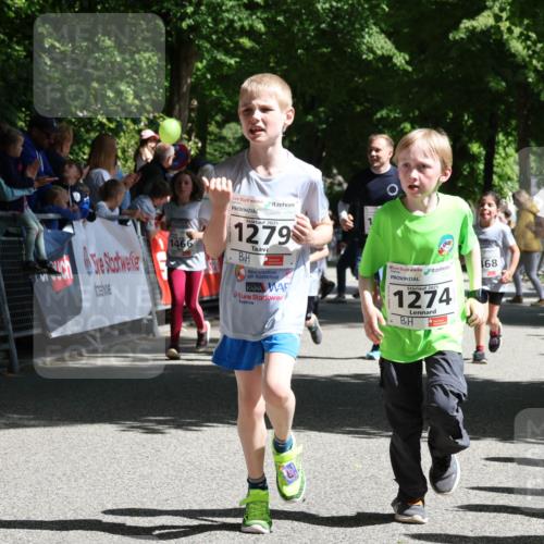 17.05.2025 - Störlauf Strokosch-Dieckow http://msf.ph/oto/7851177 17.05.2025 14:54:01 Ziel 202, 284, 2, 1466, 2025, 1279, 2025, 1274, 68 meine-sportfotos.de