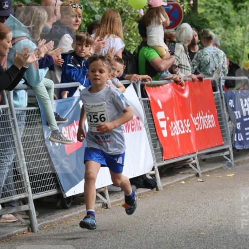 17.05.2025 - Störlauf Strokosch-Dieckow http://msf.ph/oto/7851457 17.05.2025 14:58:04 Ziel 256, 155 meine-sportfotos.de