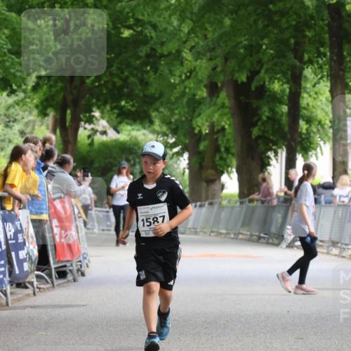 17.05.2025 - Störlauf Strokosch-Dieckow http://msf.ph/oto/7851488 17.05.2025 14:59:23 Ziel 40, 1587 meine-sportfotos.de