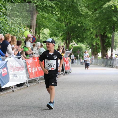 17.05.2025 - Störlauf Strokosch-Dieckow http://msf.ph/oto/7851494 17.05.2025 14:59:25 Ziel 1587, 1344 meine-sportfotos.de