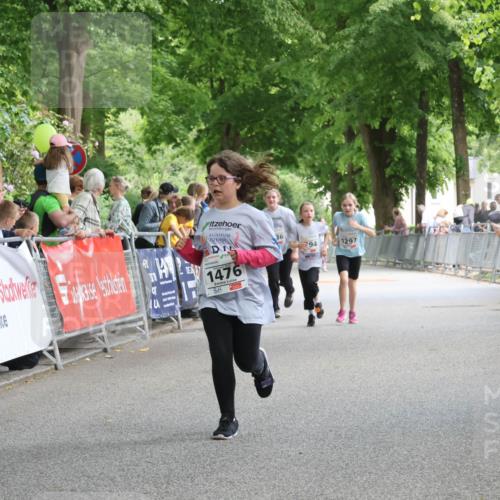 17.05.2025 - Störlauf Strokosch-Dieckow http://msf.ph/oto/7851517 17.05.2025 14:59:58 Ziel 1476, 36, 94, 1297 meine-sportfotos.de
