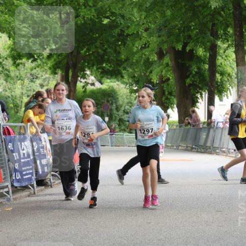 17.05.2025 - Störlauf Strokosch-Dieckow http://msf.ph/oto/7851521 17.05.2025 15:00:00 Ziel 1636, 12, 1297, 2487 meine-sportfotos.de