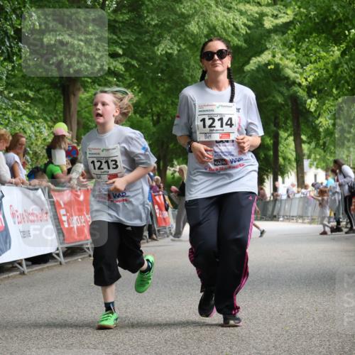 17.05.2025 - Störlauf Strokosch-Dieckow http://msf.ph/oto/7851548 17.05.2025 15:00:59 Ziel 1213, 2025, 1214 meine-sportfotos.de