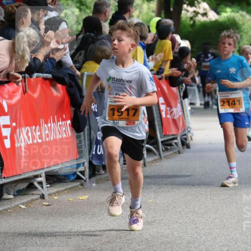 17.05.2025 - Störlauf Strokosch-Dieckow http://msf.ph/oto/7851782 17.05.2025 15:23:42 Ziel 1917, 2141 meine-sportfotos.de