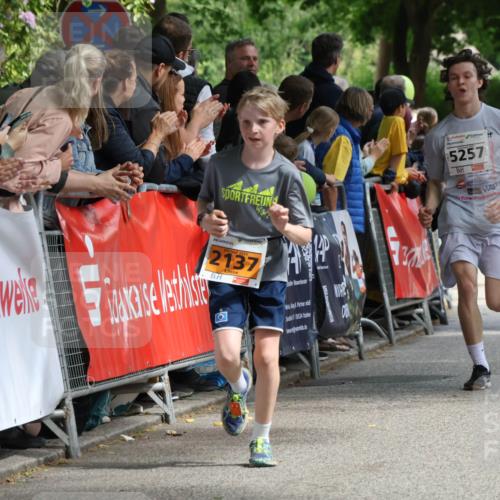 17.05.2025 - Störlauf Strokosch-Dieckow http://msf.ph/oto/7851800 17.05.2025 15:23:48 Ziel 2137, 7, 15524, 5257, 2258, 17 meine-sportfotos.de
