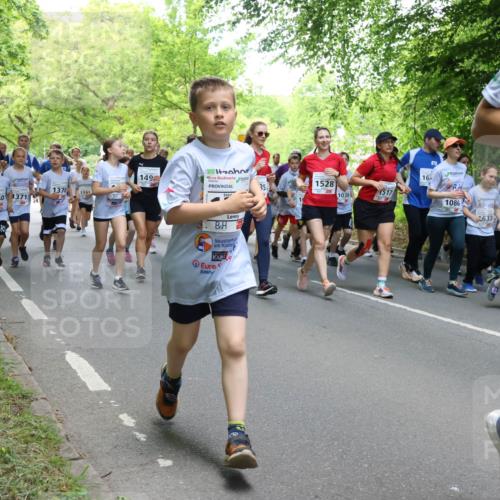 17.05.2025 - Störlauf Strokosch-Dieckow http://msf.ph/oto/7851862 17.05.2025 14:17:39 Laufen 149, 1473, 1370, 1191, 1340, 371, 16, 1528, 35, 517, 1039, 1086, 633, 08, 11 meine-sportfotos.de