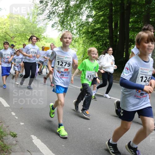17.05.2025 - Störlauf Strokosch-Dieckow http://msf.ph/oto/7851915 17.05.2025 14:17:46 Laufen 1139, 1138, 167, 1477, 1070, 1364, 1067, 1350, 1515, 2025, 1279, 127, 2025, 124 meine-sportfotos.de