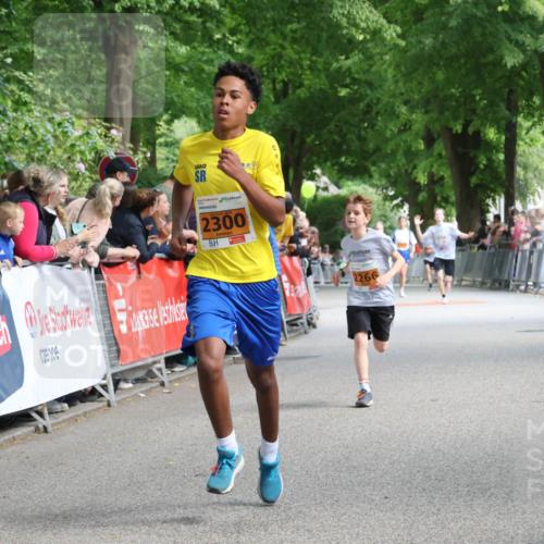 17.05.2025 - Störlauf Strokosch-Dieckow http://msf.ph/oto/7851933 17.05.2025 15:25:16 Ziel 2300, 2266 meine-sportfotos.de