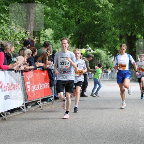17.05.2025 - Störlauf Strokosch-Dieckow http://msf.ph/oto/7851945 17.05.2025 15:25:24 Ziel 5258, 284, 2166, 2366 meine-sportfotos.de