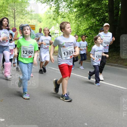 17.05.2025 - Störlauf Strokosch-Dieckow http://msf.ph/oto/7851976 17.05.2025 14:18:01 Laufen 1102, 85, 1290, 288, 1303, 1344, 1356, 1024, 1176 meine-sportfotos.de