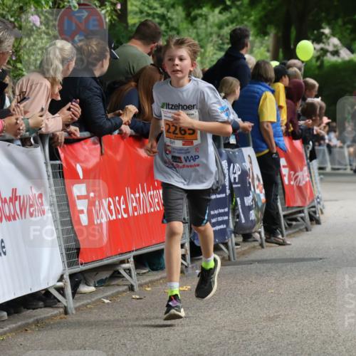 17.05.2025 - Störlauf Strokosch-Dieckow http://msf.ph/oto/7851977 17.05.2025 15:25:54 Ziel 2265, 25 meine-sportfotos.de