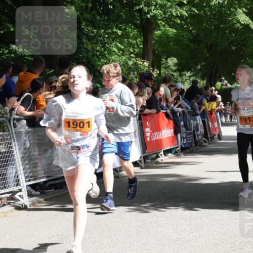 17.05.2025 - Störlauf Strokosch-Dieckow http://msf.ph/oto/7852058 17.05.2025 15:27:05 Ziel 2025, 1901, 1912, 059 meine-sportfotos.de