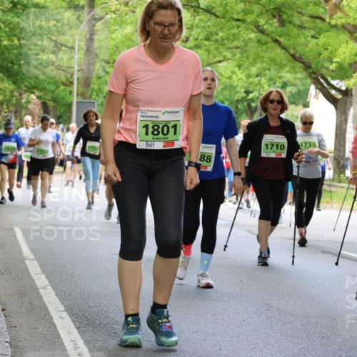 17.05.2025 - Störlauf Strokosch-Dieckow http://msf.ph/oto/7852061 17.05.2025 14:32:10 Laufen 24, 0, 1755, 1820, 1760, 06, 2025, 1801, 88, 1710, 1739, 17 meine-sportfotos.de