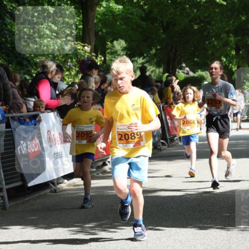 17.05.2025 - Störlauf Strokosch-Dieckow http://msf.ph/oto/7852083 17.05.2025 15:27:15 Ziel 2095, 2089, 2066, 2257, 1897 meine-sportfotos.de