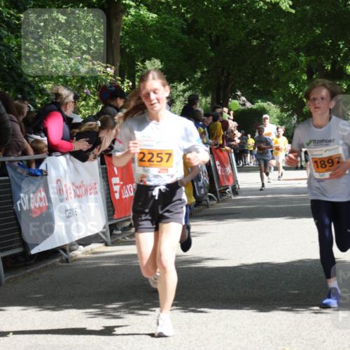 17.05.2025 - Störlauf Strokosch-Dieckow http://msf.ph/oto/7852090 17.05.2025 15:27:17 Ziel 095, 2257, 1897 meine-sportfotos.de