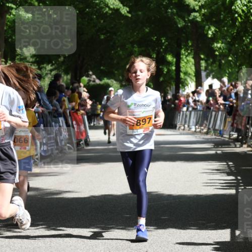17.05.2025 - Störlauf Strokosch-Dieckow http://msf.ph/oto/7852092 17.05.2025 15:27:17 Ziel 2025, 2257, 066, 897 meine-sportfotos.de
