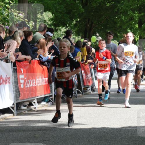 17.05.2025 - Störlauf Strokosch-Dieckow http://msf.ph/oto/7852172 17.05.2025 15:28:03 Ziel 11, 230, 2244, 1959, 1967, 1956, 91 meine-sportfotos.de