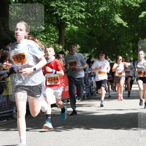 17.05.2025 - Störlauf Strokosch-Dieckow http://msf.ph/oto/7852179 17.05.2025 15:28:06 Ziel 1959, 2244, 2310, 2016, 1967, 195 meine-sportfotos.de