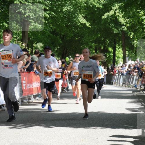17.05.2025 - Störlauf Strokosch-Dieckow http://msf.ph/oto/7852184 17.05.2025 15:28:07 Ziel 244, 2310, 2016, 215, 2289, 1956 meine-sportfotos.de