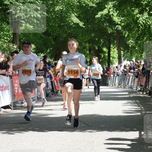 17.05.2025 - Störlauf Strokosch-Dieckow http://msf.ph/oto/7852186 17.05.2025 15:28:08 Ziel 31, 2016, 1956, 2289, 2291 meine-sportfotos.de