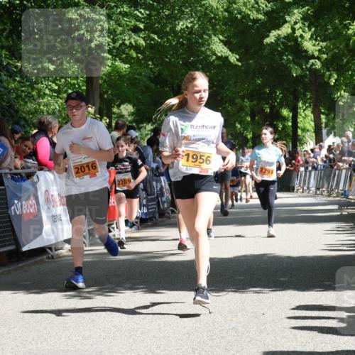 17.05.2025 - Störlauf Strokosch-Dieckow http://msf.ph/oto/7852187 17.05.2025 15:28:08 Ziel 2310, 2016, 2289, 1956, 2291 meine-sportfotos.de