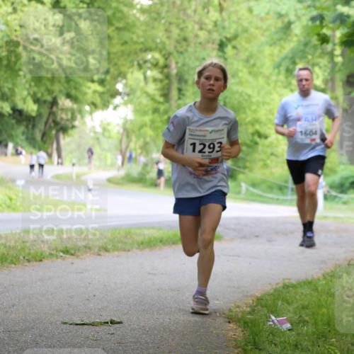 17.05.2025 - Störlauf Strokosch-Dieckow http://msf.ph/oto/7852258 17.05.2025 14:37:04 Laufen 1293, 1604 meine-sportfotos.de
