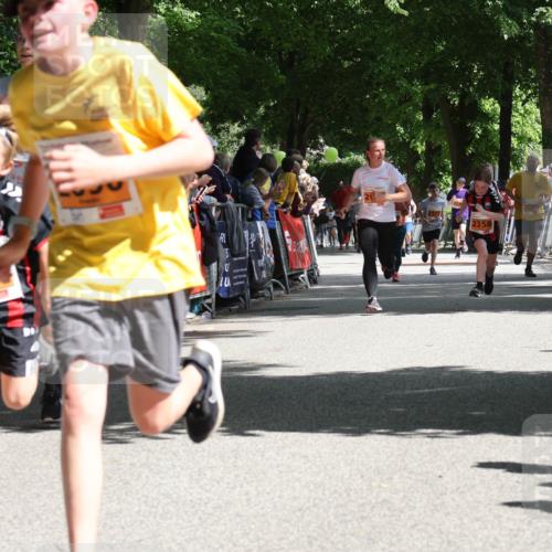 17.05.2025 - Störlauf Strokosch-Dieckow http://msf.ph/oto/7852286 17.05.2025 15:28:42 Ziel 235, 229, 2358 meine-sportfotos.de