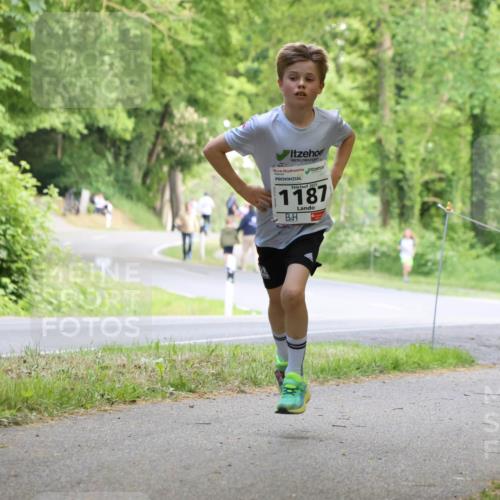 17.05.2025 - Störlauf Strokosch-Dieckow http://msf.ph/oto/7852301 17.05.2025 14:37:23 Laufen 2025, 1187 meine-sportfotos.de