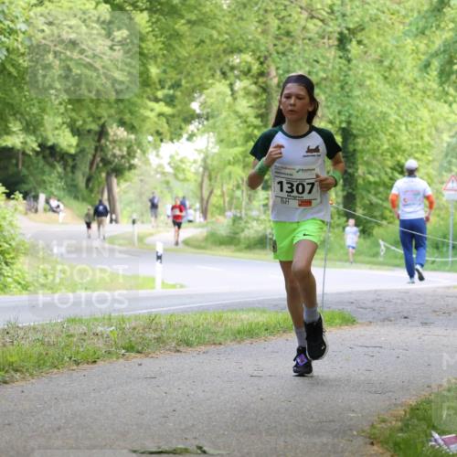 17.05.2025 - Störlauf Strokosch-Dieckow http://msf.ph/oto/7852333 17.05.2025 14:37:51 Laufen 1307, 1287 meine-sportfotos.de