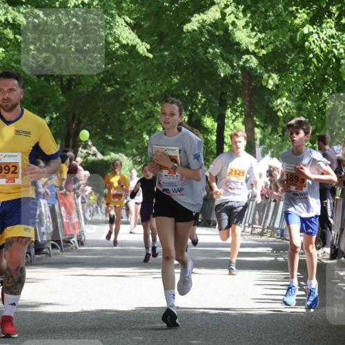 17.05.2025 - Störlauf Strokosch-Dieckow http://msf.ph/oto/7852336 17.05.2025 15:28:59 Ziel 992, 2145, 1895 meine-sportfotos.de