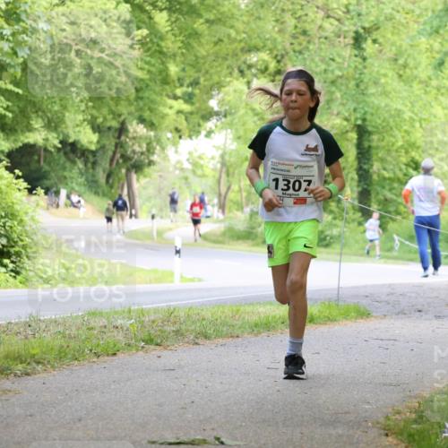 17.05.2025 - Störlauf Strokosch-Dieckow http://msf.ph/oto/7852339 17.05.2025 14:37:51 Laufen 1307, 1287 meine-sportfotos.de