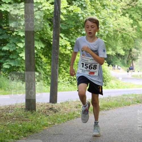 17.05.2025 - Störlauf Strokosch-Dieckow http://msf.ph/oto/7852364 17.05.2025 14:37:56 Laufen 2025, 1568 meine-sportfotos.de