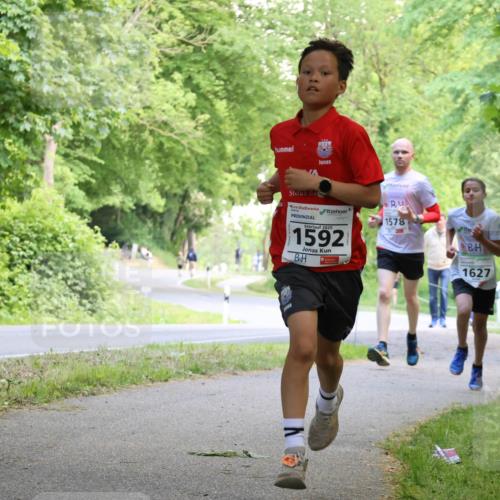 17.05.2025 - Störlauf Strokosch-Dieckow http://msf.ph/oto/7852374 17.05.2025 14:38:00 Laufen 1578, 2025, 1592, 1627 meine-sportfotos.de