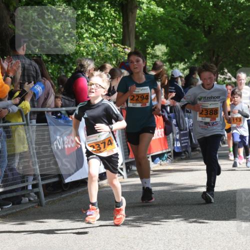 17.05.2025 - Störlauf Strokosch-Dieckow http://msf.ph/oto/7852386 17.05.2025 15:29:39 Ziel 2374, 2294, 2388, 113, 235, 2220 meine-sportfotos.de