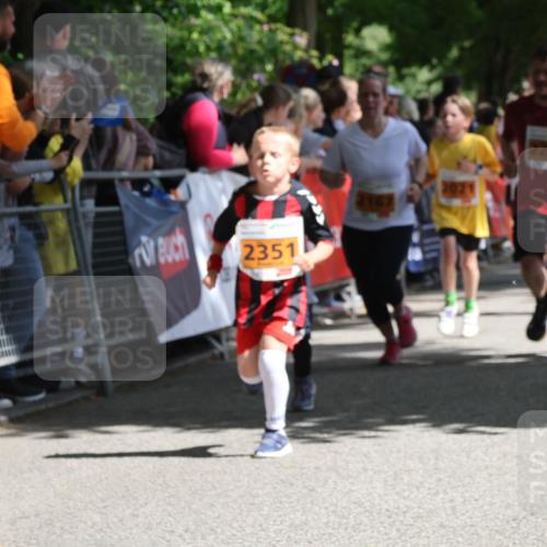 17.05.2025 - Störlauf Strokosch-Dieckow http://msf.ph/oto/7852391 17.05.2025 15:29:41 Ziel 2351, 2226, 2151 meine-sportfotos.de