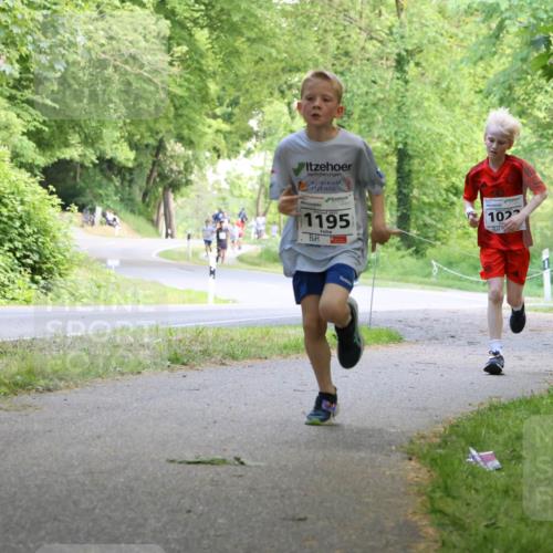 17.05.2025 - Störlauf Strokosch-Dieckow http://msf.ph/oto/7852406 17.05.2025 14:38:17 Laufen 1195, 102 meine-sportfotos.de