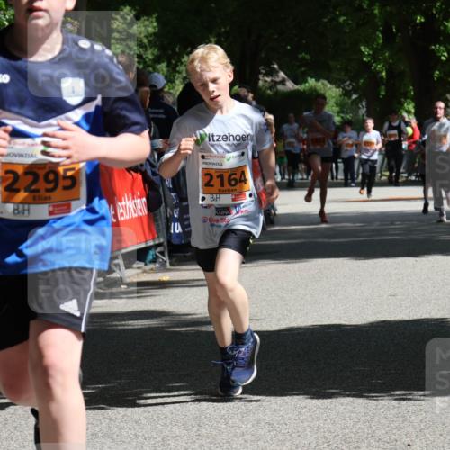 17.05.2025 - Störlauf Strokosch-Dieckow http://msf.ph/oto/7852512 17.05.2025 15:30:49 Ziel  meine-sportfotos.de