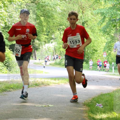 17.05.2025 - Störlauf Strokosch-Dieckow http://msf.ph/oto/7852586 17.05.2025 14:39:55 Laufen 1584, 602, 1593, 115, 161, 10, 15 meine-sportfotos.de