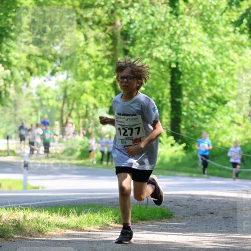 17.05.2025 - Störlauf Strokosch-Dieckow http://msf.ph/oto/7852635 17.05.2025 14:40:15 Laufen 2025, 1277, 1614 meine-sportfotos.de