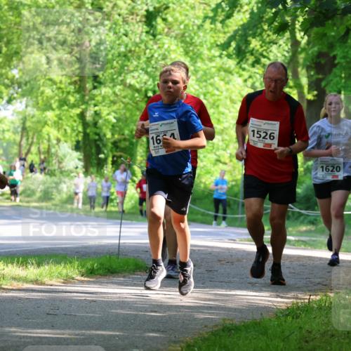 17.05.2025 - Störlauf Strokosch-Dieckow http://msf.ph/oto/7852651 17.05.2025 14:40:17 Laufen 1277, 16, 1, 1526, 1620, 1603, 1094 meine-sportfotos.de