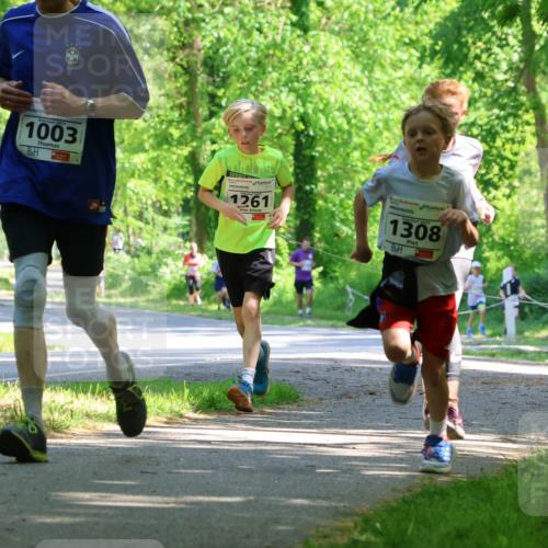 17.05.2025 - Störlauf Strokosch-Dieckow http://msf.ph/oto/7852786 17.05.2025 14:41:04 Laufen 2025, 1003, 1261, 1308, 15 meine-sportfotos.de
