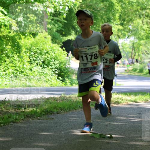 17.05.2025 - Störlauf Strokosch-Dieckow http://msf.ph/oto/7852844 17.05.2025 14:41:26 Laufen 2025, 1178, 3, 1248 meine-sportfotos.de