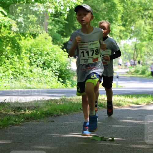 17.05.2025 - Störlauf Strokosch-Dieckow http://msf.ph/oto/7852847 17.05.2025 14:41:26 Laufen 2025, 1178, 24, 2025, 2025, 1248 meine-sportfotos.de