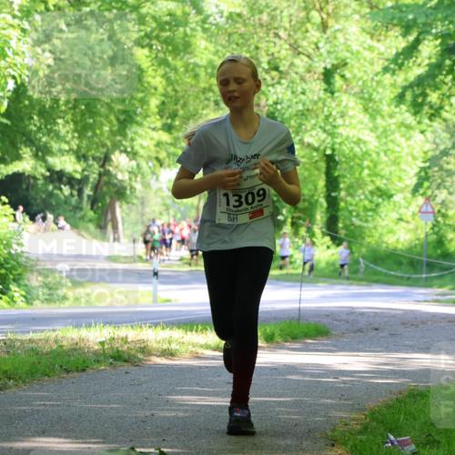 17.05.2025 - Störlauf Strokosch-Dieckow http://msf.ph/oto/7852893 17.05.2025 14:41:46 Laufen 2025, 1309 meine-sportfotos.de