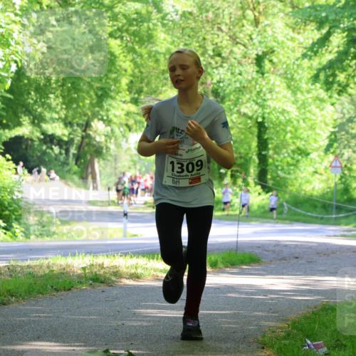 17.05.2025 - Störlauf Strokosch-Dieckow http://msf.ph/oto/7852894 17.05.2025 14:41:46 Laufen 2025, 1309 meine-sportfotos.de