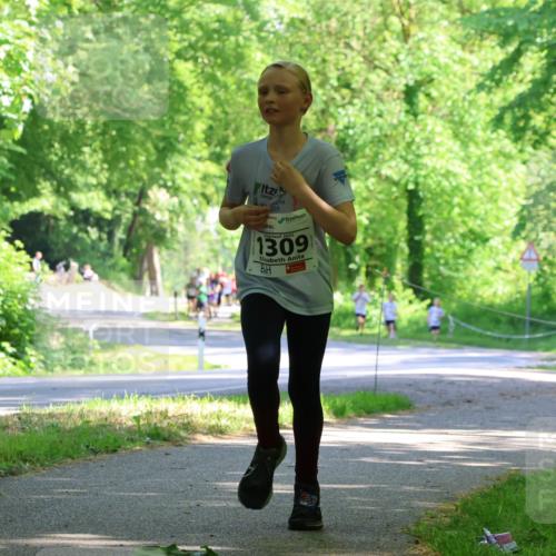 17.05.2025 - Störlauf Strokosch-Dieckow http://msf.ph/oto/7852896 17.05.2025 14:41:46 Laufen 2025, 1309 meine-sportfotos.de
