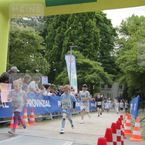 17.05.2025 - Störlauf H.Heesch http://msf.ph/oto/7853539 17.05.2025 13:17:24 Ziel  meine-sportfotos.de